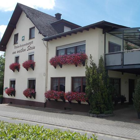 Gaestehaus "Am Weissen Stein" Cochem Exteriör bild